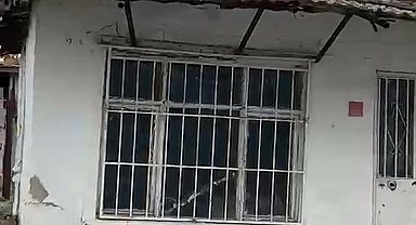 Edirne'de çatıya çıkan koyun şaşırttı: Otları yemek için çatıya çıktı
