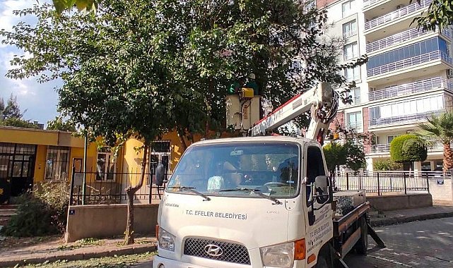 Efeler'de yeşil alanlara bakım