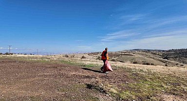 Elazığ Belediyesi'nden sokak hayvanlarına mama ve su desteği