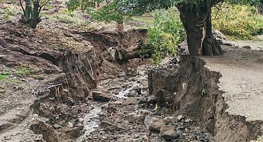 Elazığ'da aşırı yağış sonrası ağaçlar devrildi, derin çukurlar oluştu