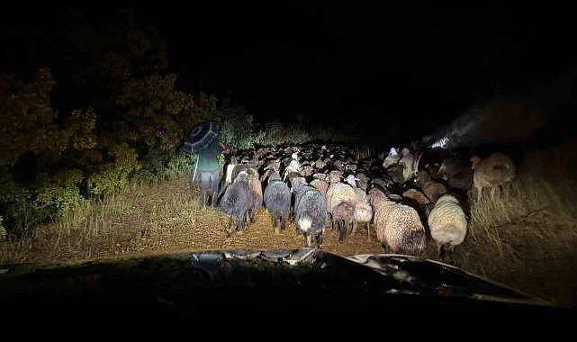 Elazığ'da dağlık alanda mahsur kalan çoban ve 200 küçükbaş hayvan kurtarıldı