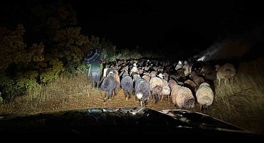 Elazığ'da dağlık alanda mahsur kalan çoban ve 200 küçükbaş hayvan kurtarıldı