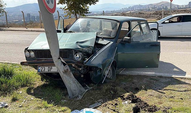 Elazığ'da otomobil aydınlatma direğine çarptı: 2 yaralı