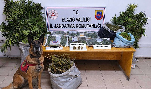 Elazığ'da uyuşturucu operasyonu: 3 tutuklama