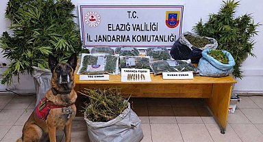 Elazığ'da uyuşturucu operasyonu: 3 tutuklama