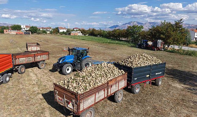 Elazığ'ın bereketli topraklarında şeker pancarı hasadı başladı