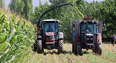 Erzincan Ovası'nda silajlık mısır hasadı sürüyor