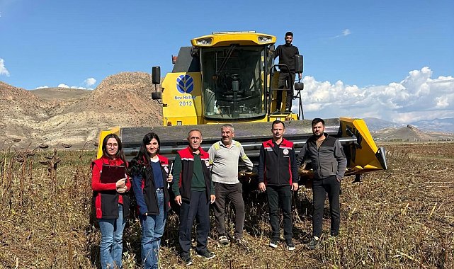 Erzincan'da ayçiçeği hasadında dane kaybına sıkı denetim