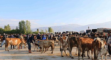 Erzincan'da hayvan yetiştiricilerine şap hastalığına karşı aşılama uyarısı