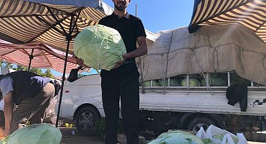 Erzincan'da turşuluk ve yemeklik lahanalar tezgahta yerini aldı