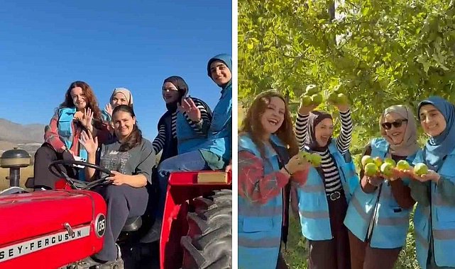 Erzincanlı öğrenciler Üzümlü'de meyve hasadına katıldı