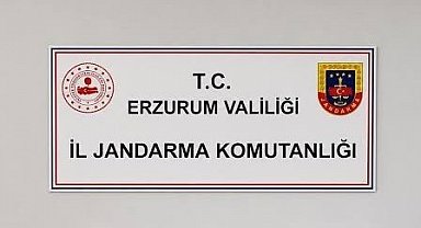 Erzurum'da siber suçlardan 25 şahıs hakkında adli işlem başlatıldı