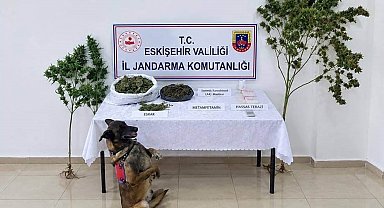 Eskişehir'de uyuşturucu operasyonu: 1 tutuklama