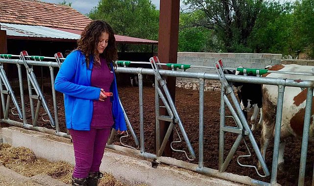 Evciler'de işletmelerin kapasite ve üretim şartları incelendi