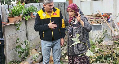 Evin üzerine devrilen ağaç kaldırıldı
