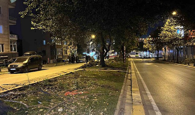 Eyüpsultan'da ağaç kesimi iddiaları sonrası vatandaşlardan İBB'ye tepki