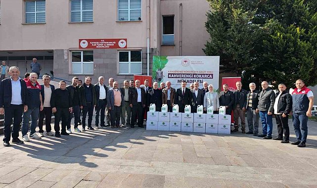 Fındık üretimini tehdit eden kokarcaya karşı önlem