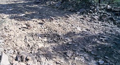 Ganos Dağları'nda keklik sürüsü fotokapanlara yansıdı