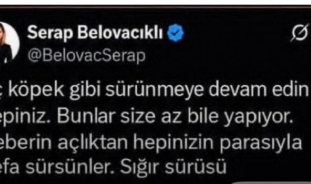 Gazeteci Serap Belovacıklı hakkında soruşturma başlatıldı