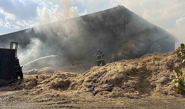 Gaziantep'te çiftlikte yangın