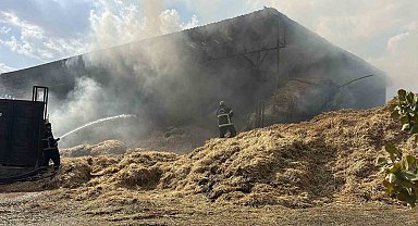 Gaziantep'te çiftlikte yangın