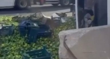 Gaziantep'te mandalina yüklü kamyon devrildi