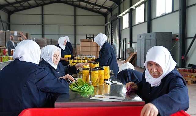 Gürsu Ovası'na kadın eli değdi