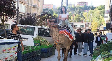 Hakkari'de deve ve midilli atları ilgi odağı oldu