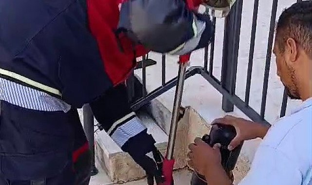 Havalandırma borusunda ölümü bekleyen yavru kediyi miyavlaması kurtardı