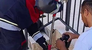 Havalandırma borusunda ölümü bekleyen yavru kediyi miyavlaması kurtardı