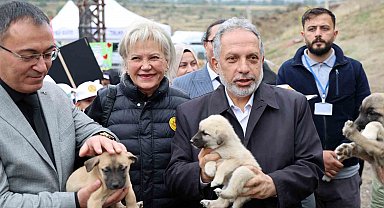 Hayvanları Koruma Günü, Talas Pati Evi Doğal Yaşam Alanı'nda kutlandı