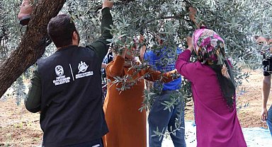 HBB'den zeytin üreticilerine mesleki eğitim desteği