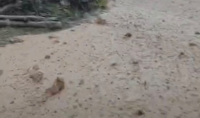 Hekimhan'da sağanak yağış sele neden oldu