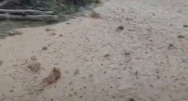 Hekimhan'da sağanak yağış sele neden oldu