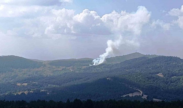 Hisarcık'ta ormana sıçrayan yangında 6 dekar alan zarar gördü