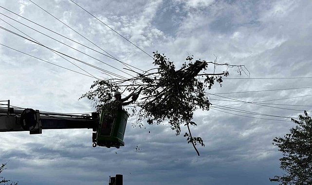 Hopa'da elektrik arıza ekiplerinin rüzgâr mesaisi