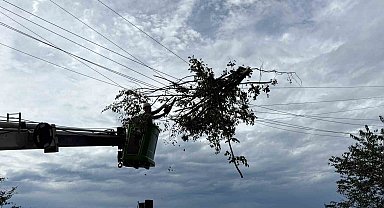 Hopa'da elektrik arıza ekiplerinin rüzgâr mesaisi