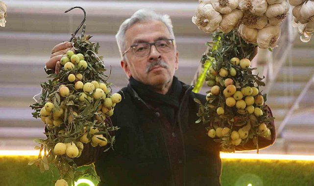 İki yılda bir yetişiyor, bu meyve sipariş üzerine satılıyor