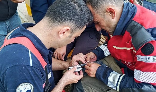 İskenderun'da ağaca takılan güvercin itfaiye ekiplerince kurtarıldı