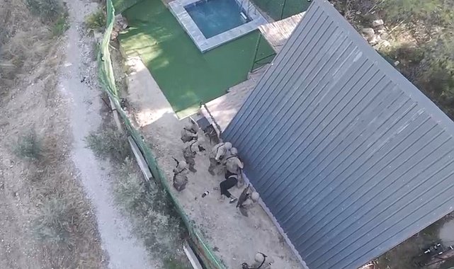 İzmir'de 9 yıldır aranan firari hükümlü özel harekât destekli operasyonla yakalandı