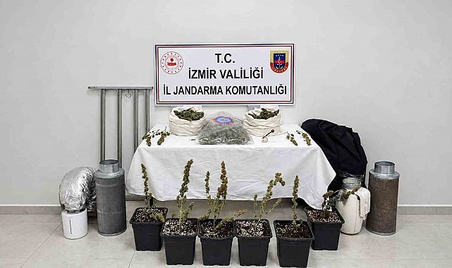 İzmir'de saksıda uyuşturucu yetiştiren şüpheli yakalandı