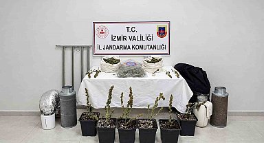 İzmir'de saksıda uyuşturucu yetiştiren şüpheli yakalandı