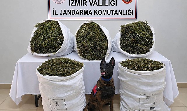 İzmir'de uyuşturucu operasyonu: 54 kilo 800 gram esrar ele geçirildi, 3 kişi tutuklandı