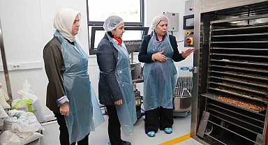 Kadın girişimciden tirmis bazlı fonksiyonel gıda üretimi