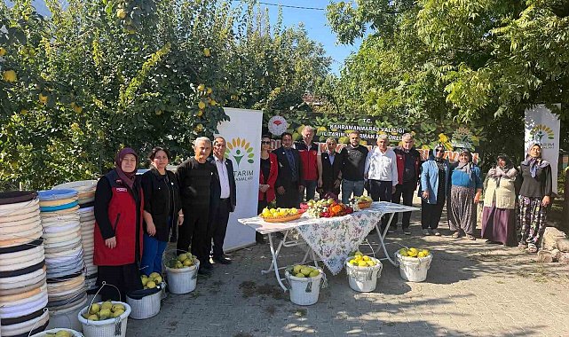 Kahramanmaraş'ta ayva üreticilerine hasat desteği