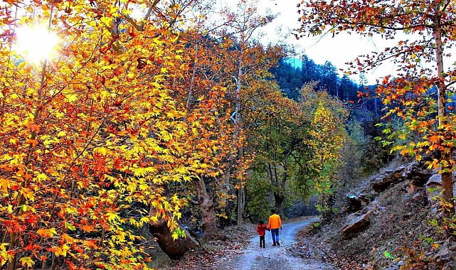 Kahramanmaraş'ta sonbahar renkleri: Göksun manzarasıyla büyülüyor