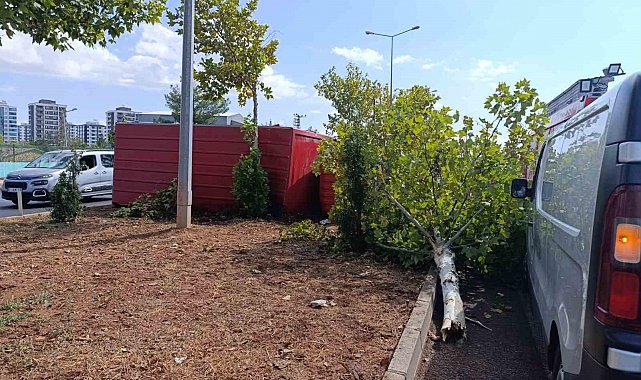 Kamyonette sıkışan sürücüyü itfaiye ekipleri kurtardı