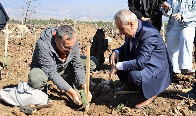 Karabük'te 250 fidan toprakla buluştu