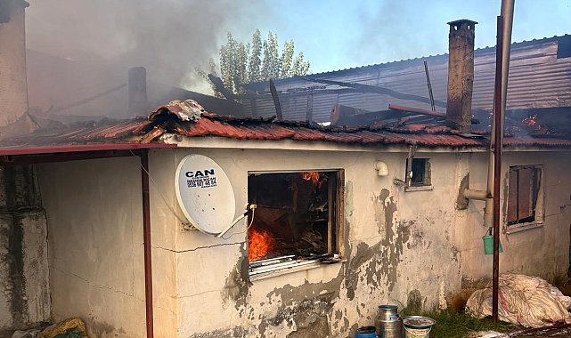 Karacasu'daki ev yangını söndürüldü