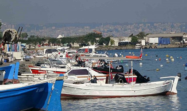 Karadeniz'de palamut alarmı: "Önüne ne gelirse yiyor, bir an önce hepsinin tutulması gerekiyor"
